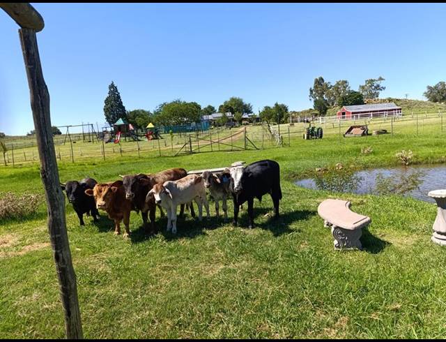 FARM FOR SALE IN KLIPRIVIER